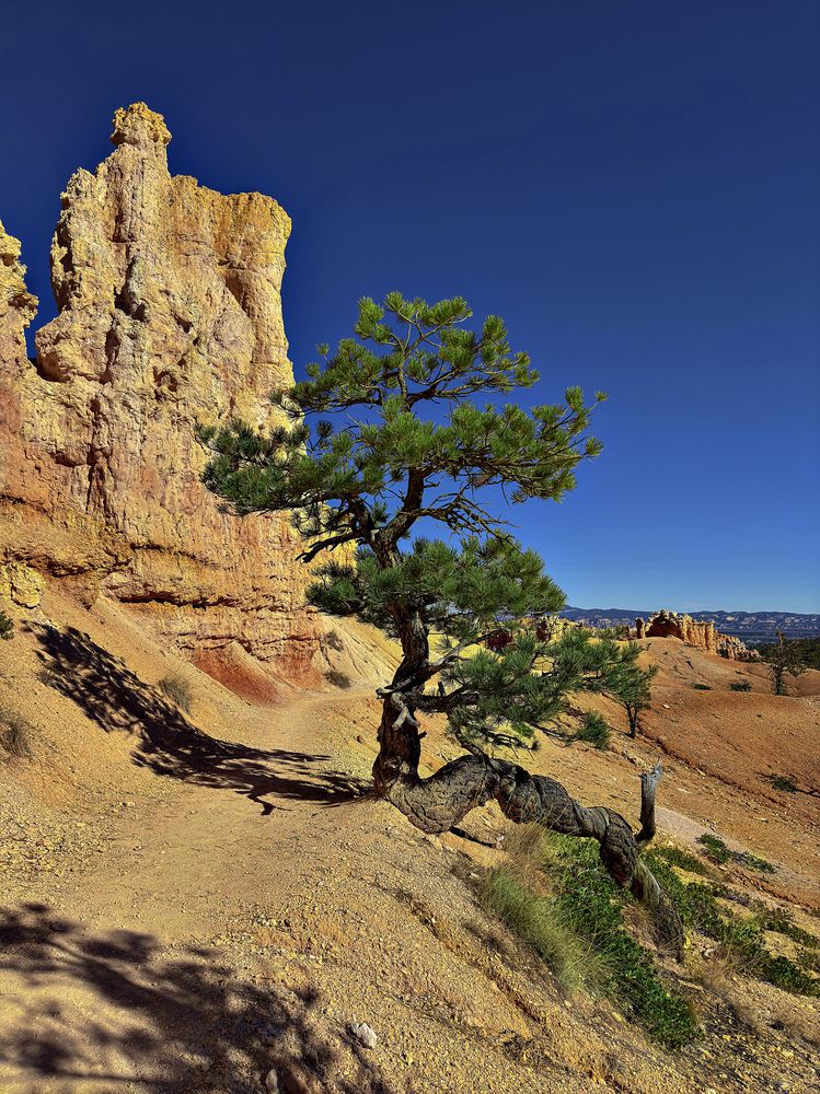 Photograph by Ksenia Kouri