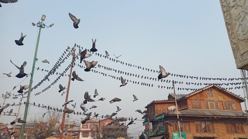 Photograph by Rubina Hasan