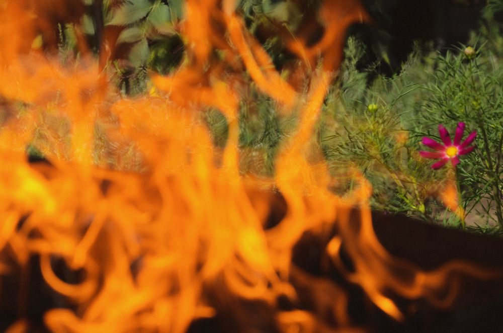 Photograph by Ульяна Бедрицкая