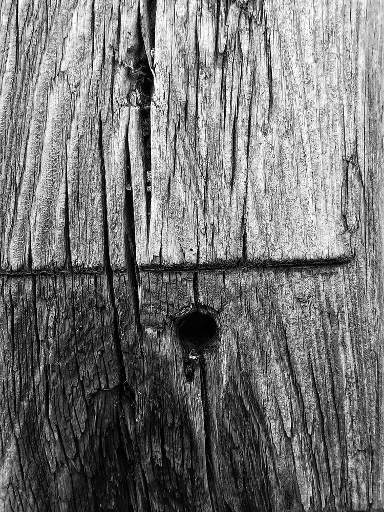 Photograph by DAVID ALMENDRAL