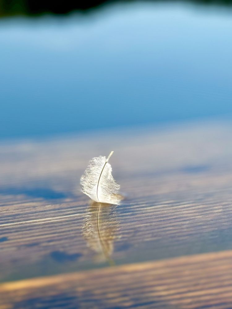 Photograph by Елена Карпухно