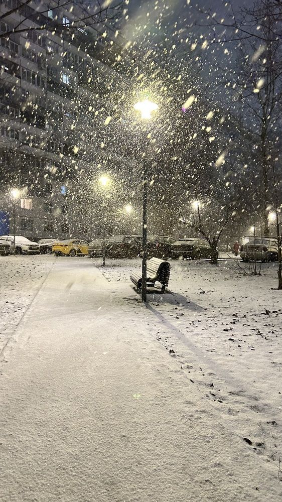 Последний шаг зимы