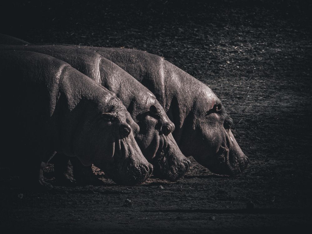 Photograph by Katherine Erlich