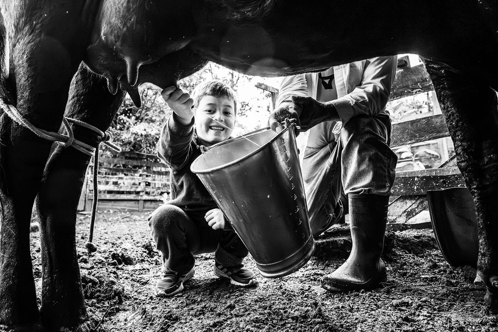 Photograph by ZE AMERICO