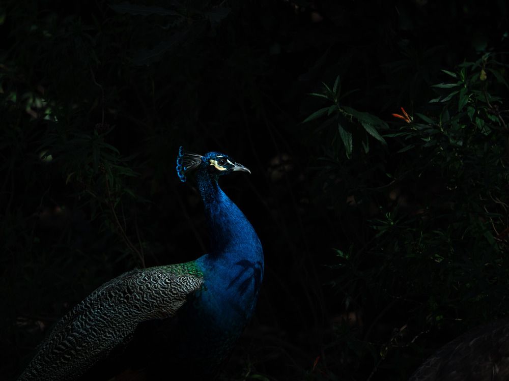 Photograph by Katherine Erlich