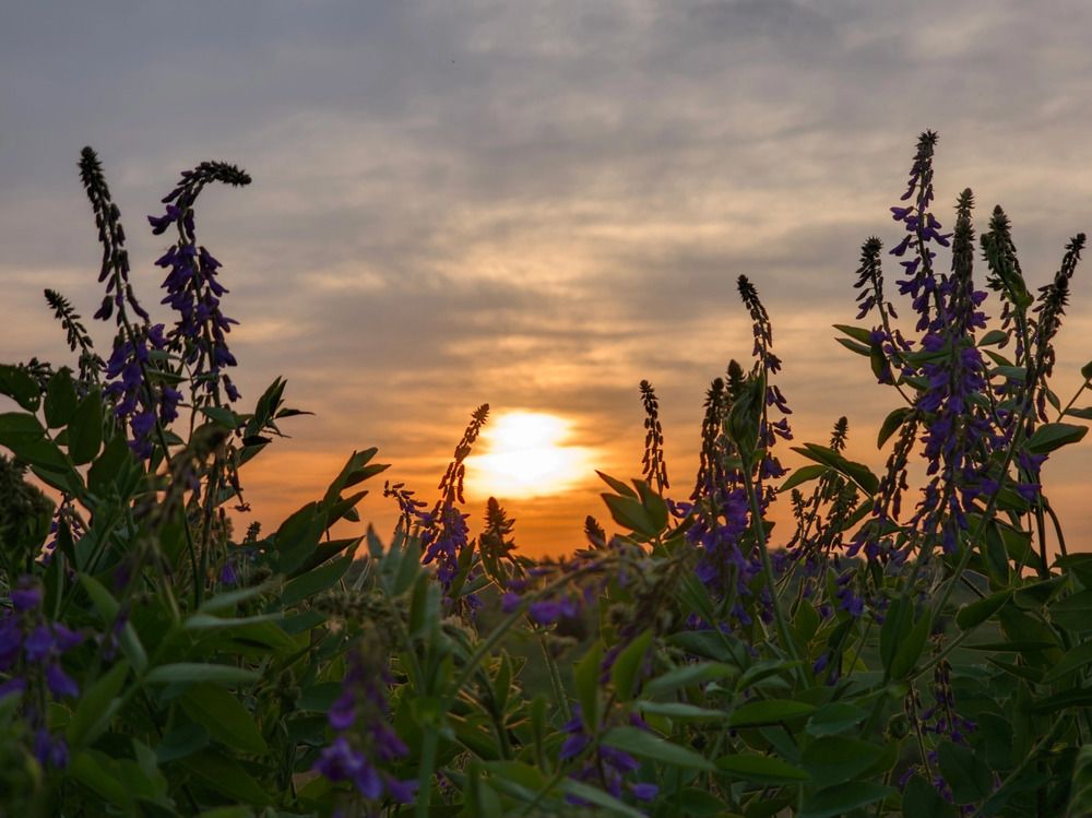 Photograph by Кирилл Сидоров