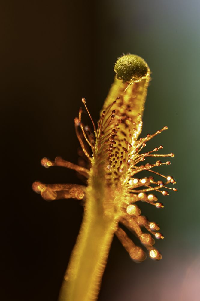 Photograph by Юлия Шурандина