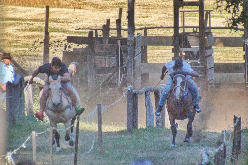 Фотография автора Paula Torrent