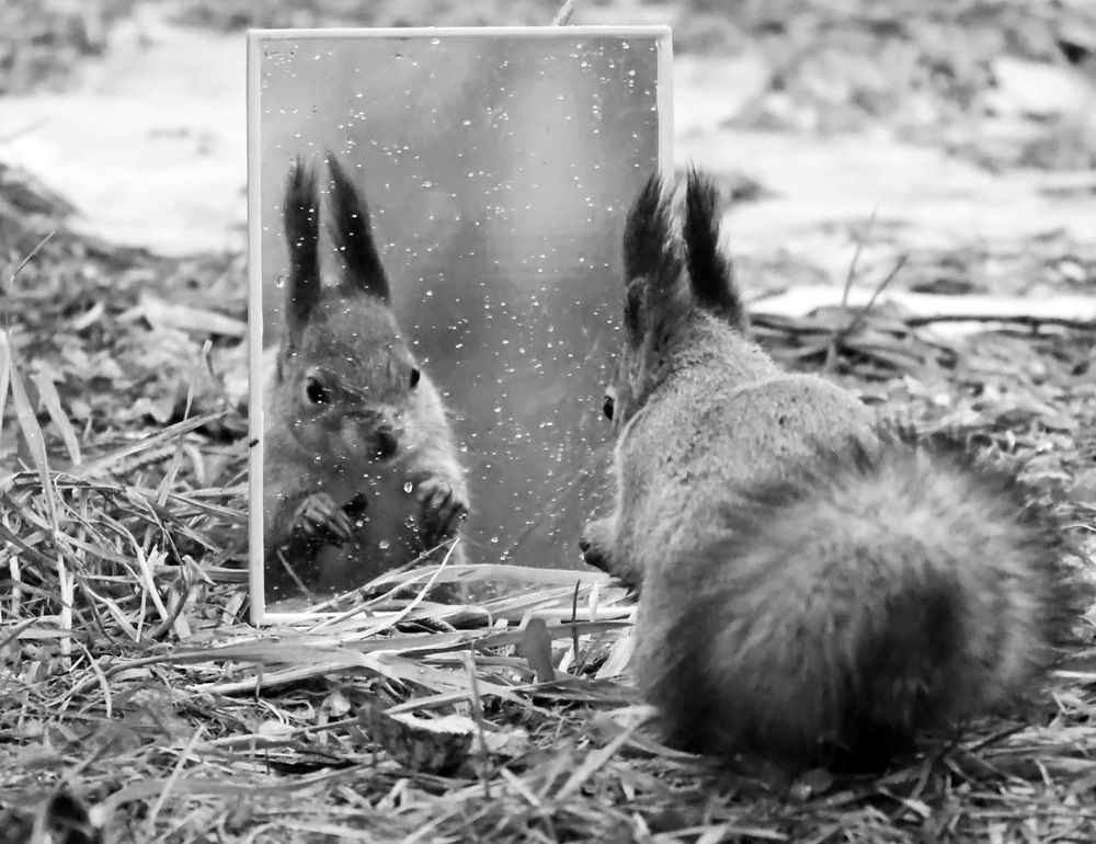 Photograph by Сергей Маслов