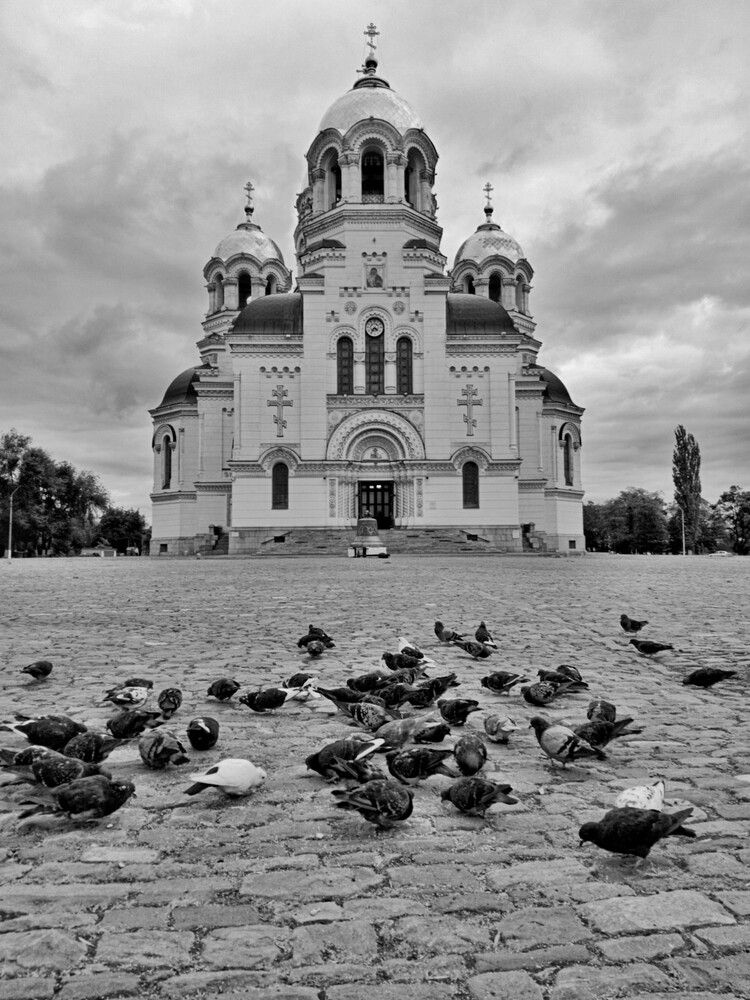 Голуби на площади