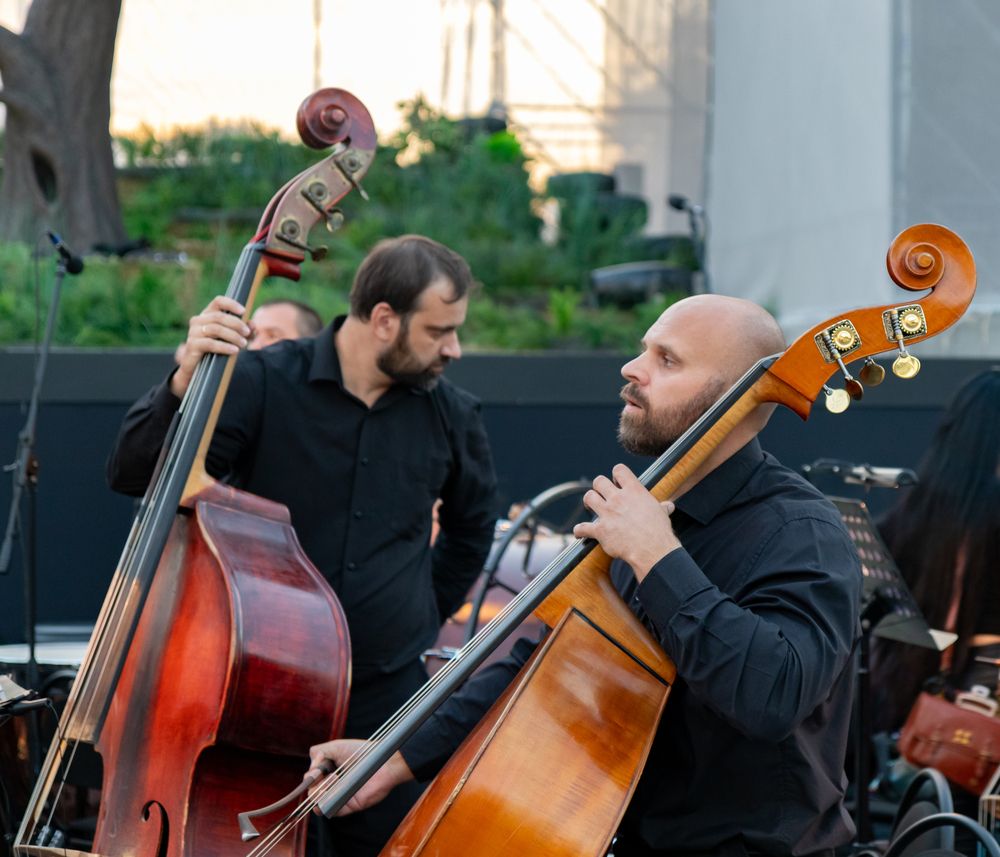 Photograph by Владимир Самосватов