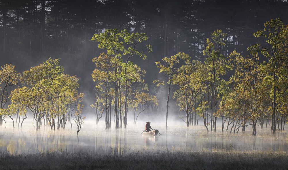 Фотография автора NGUYEN NGOC SON