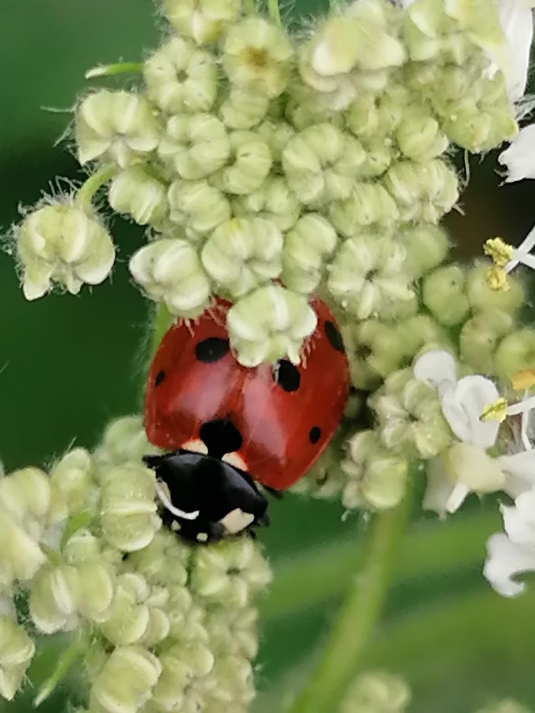 Photograph by Елена Клементьевская