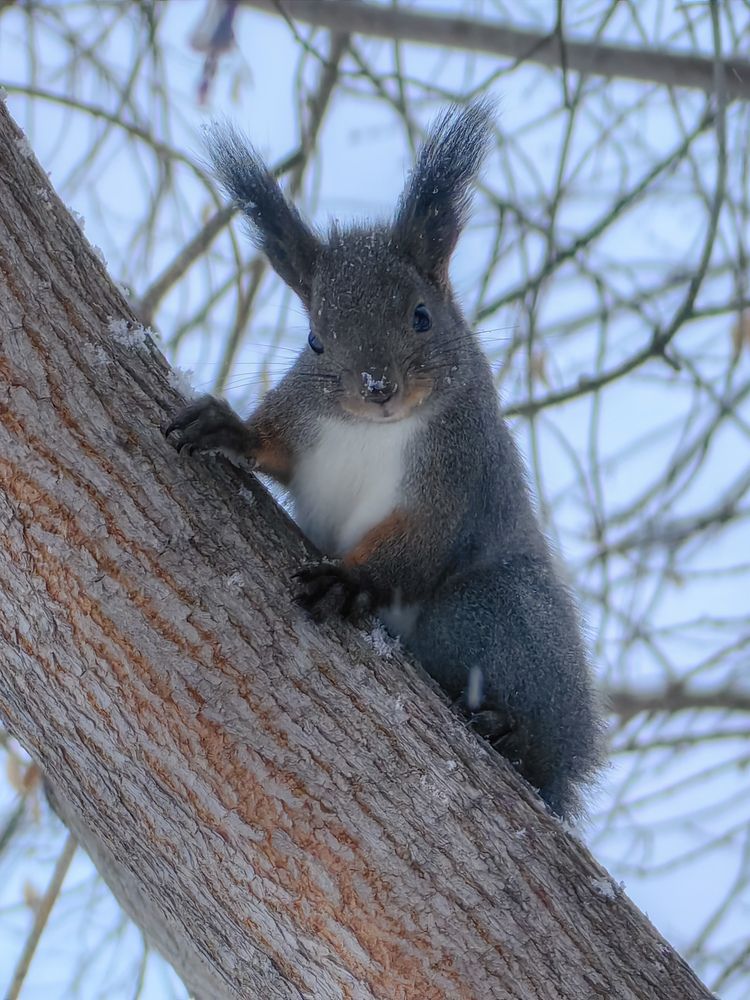 Фотография автора Иван Дутчак