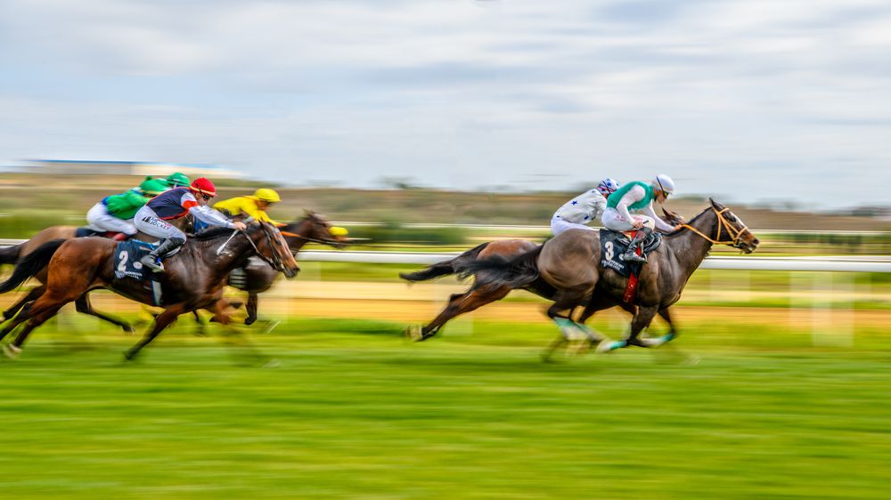 Photograph by Francisco José López Fernández