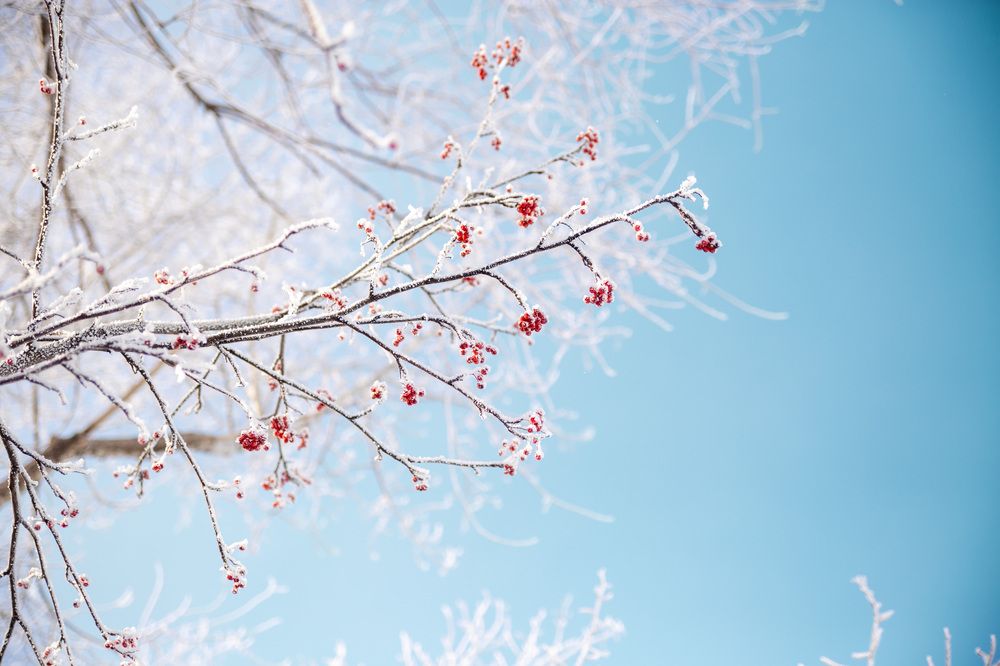 Photograph by Марина Комина