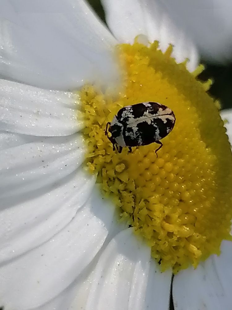 Photograph by Елена Клементьевская