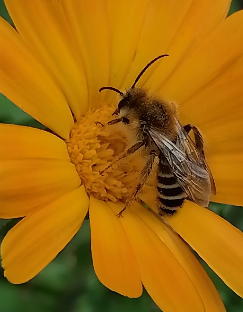 Photograph by Елена Клементьевская