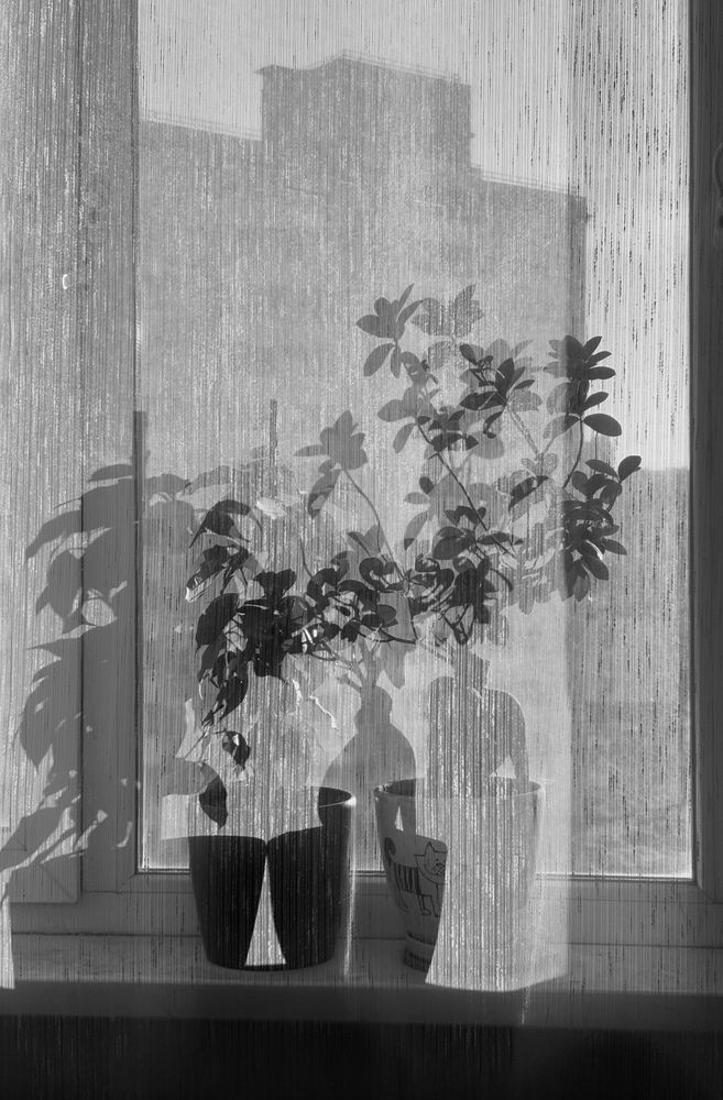 Фотография автора Харламова Валентина