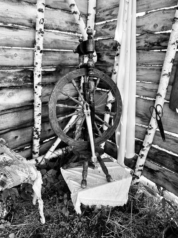 Photograph by Татьяна Шитлина