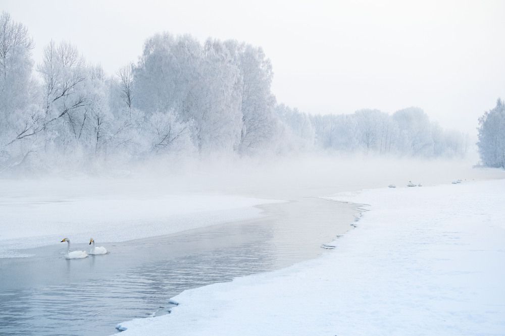 Photograph by Александра Тараскина