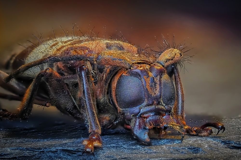 Photograph by Савчук Анатолий