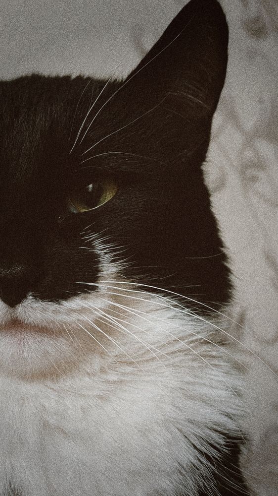 Photograph by Елена Тертишникова