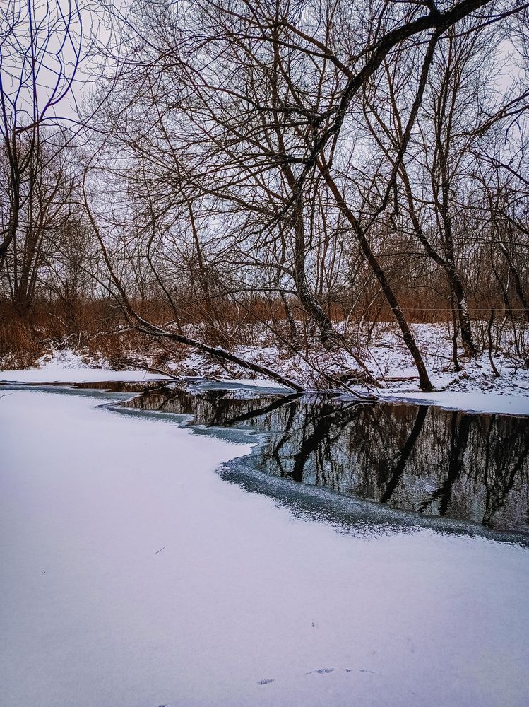 Photograph by Олеся Бронзова