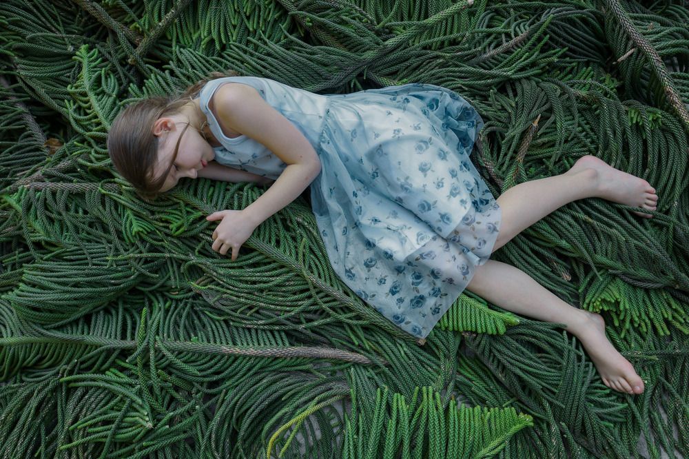 Goodbye green forest
