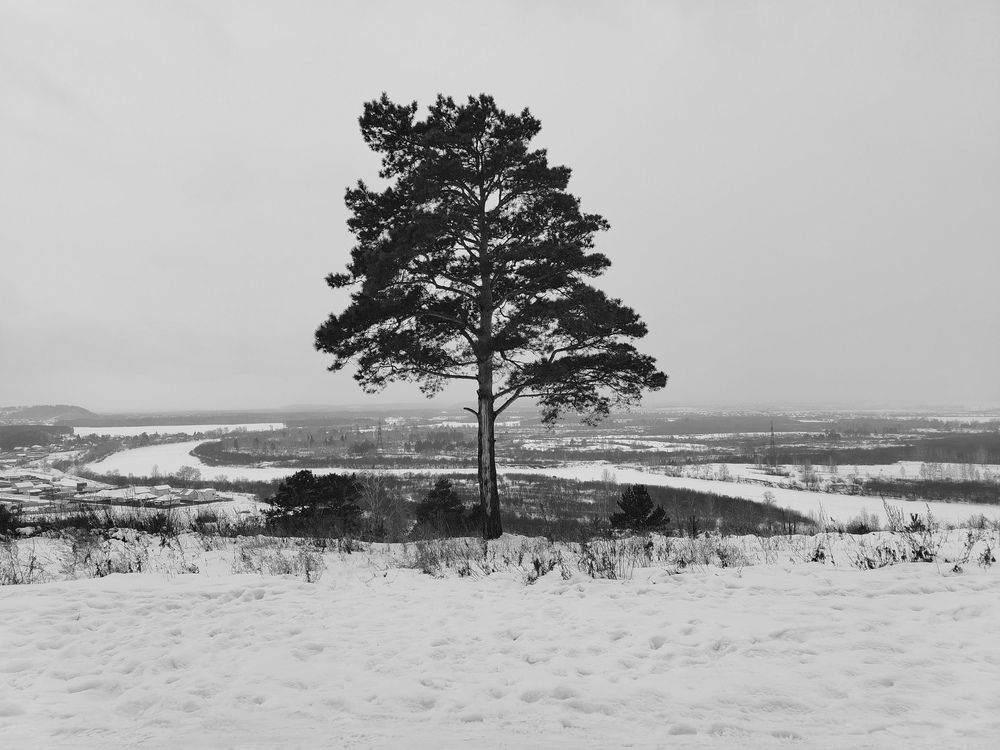 Фотография автора Любовь Чечешкина