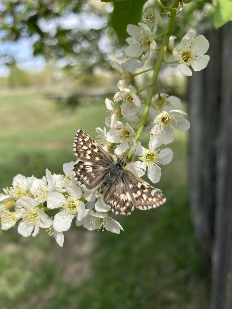 Photograph by Елена Тертишникова