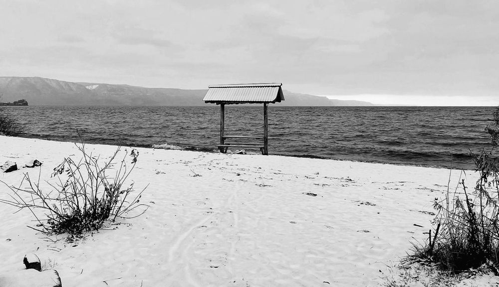 Фотография автора Любовь Чечешкина