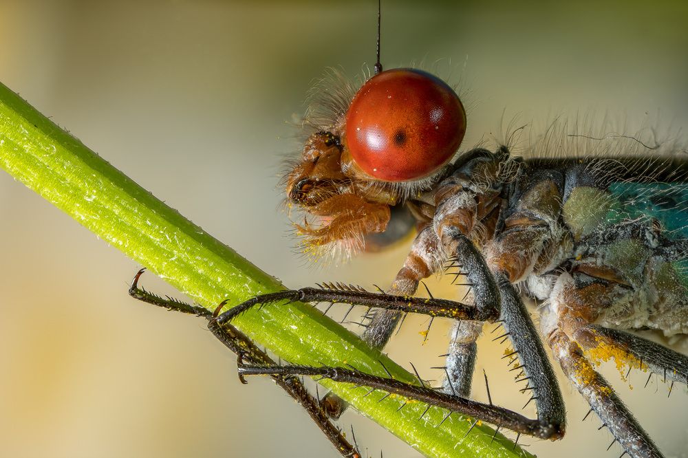 Photograph by Андрей Кривов