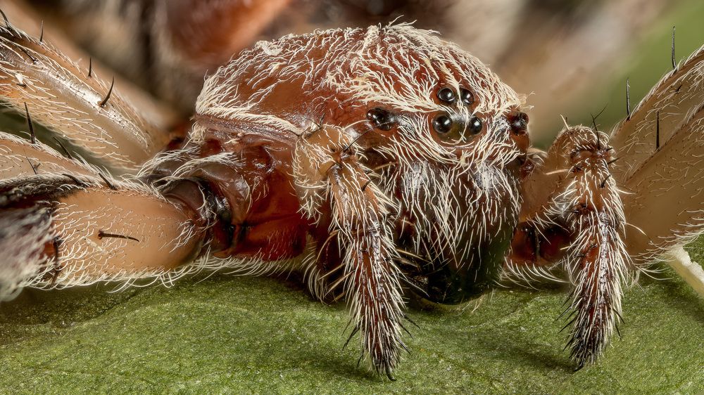 Photograph by Андрей Кривов