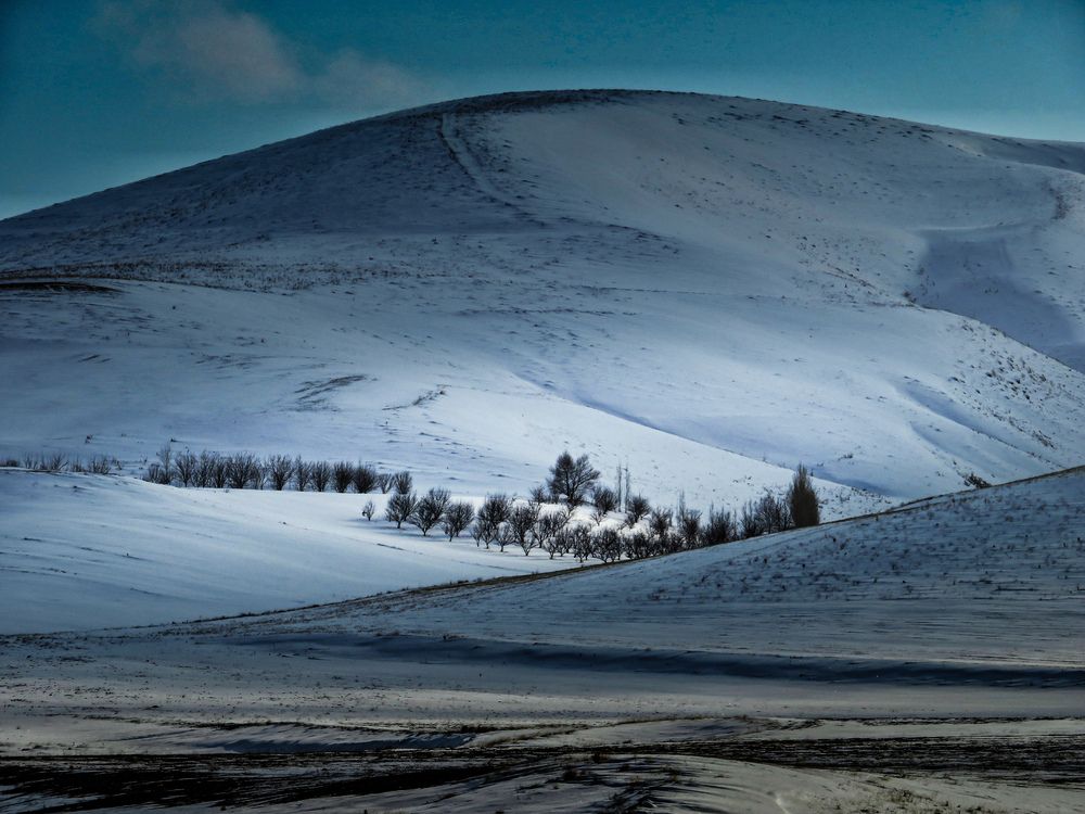 Фотография автора Mahdi Mohammadi