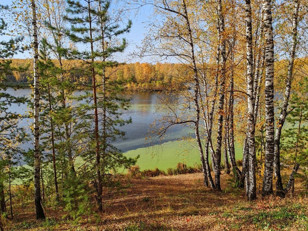 Photograph by Тамара Кремлева