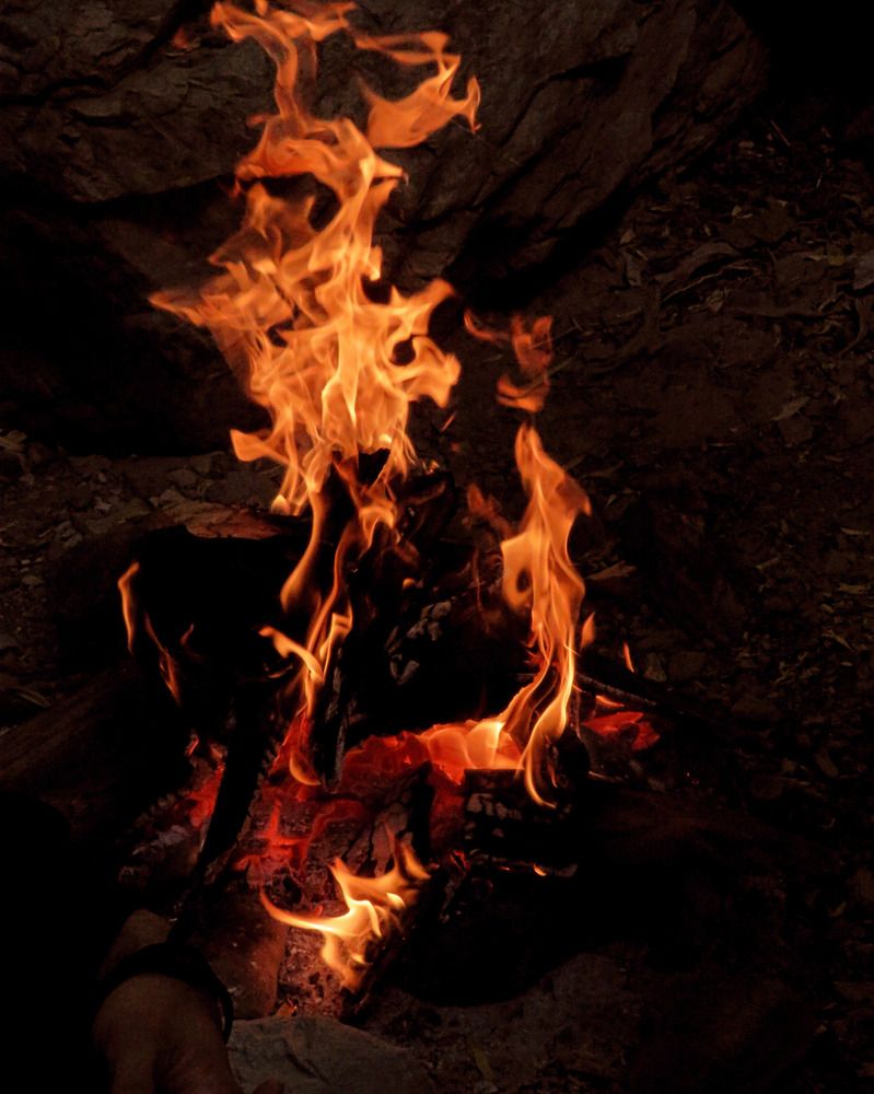 Фотография автора Mahdi Mohammadi