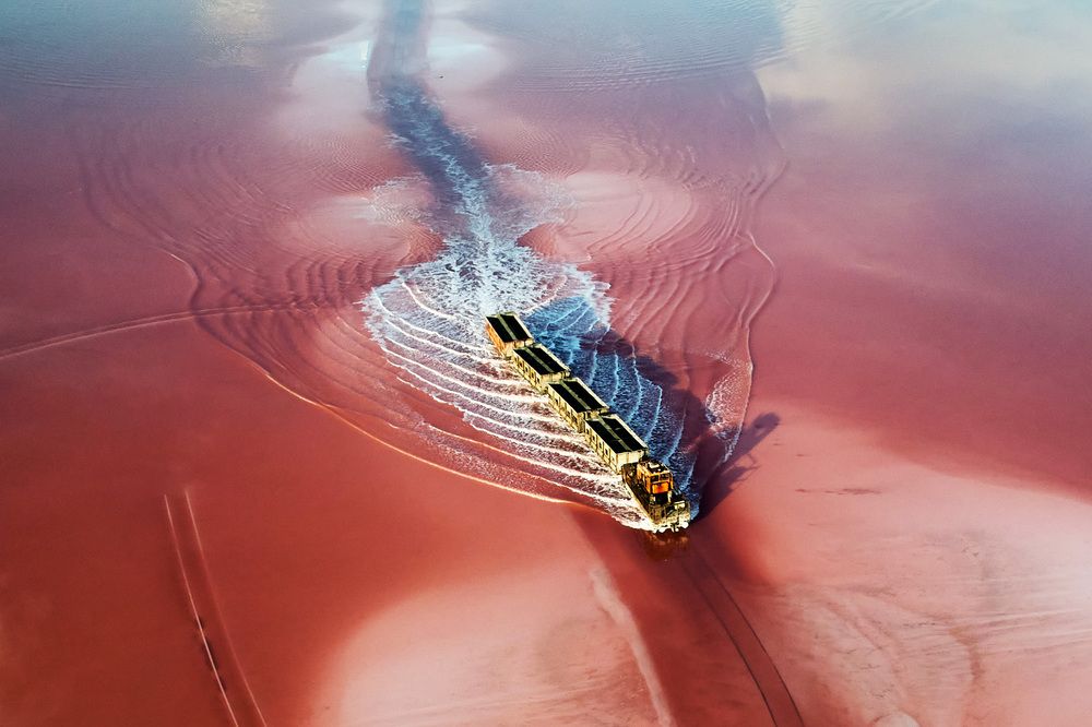 Фотография автора Totoro