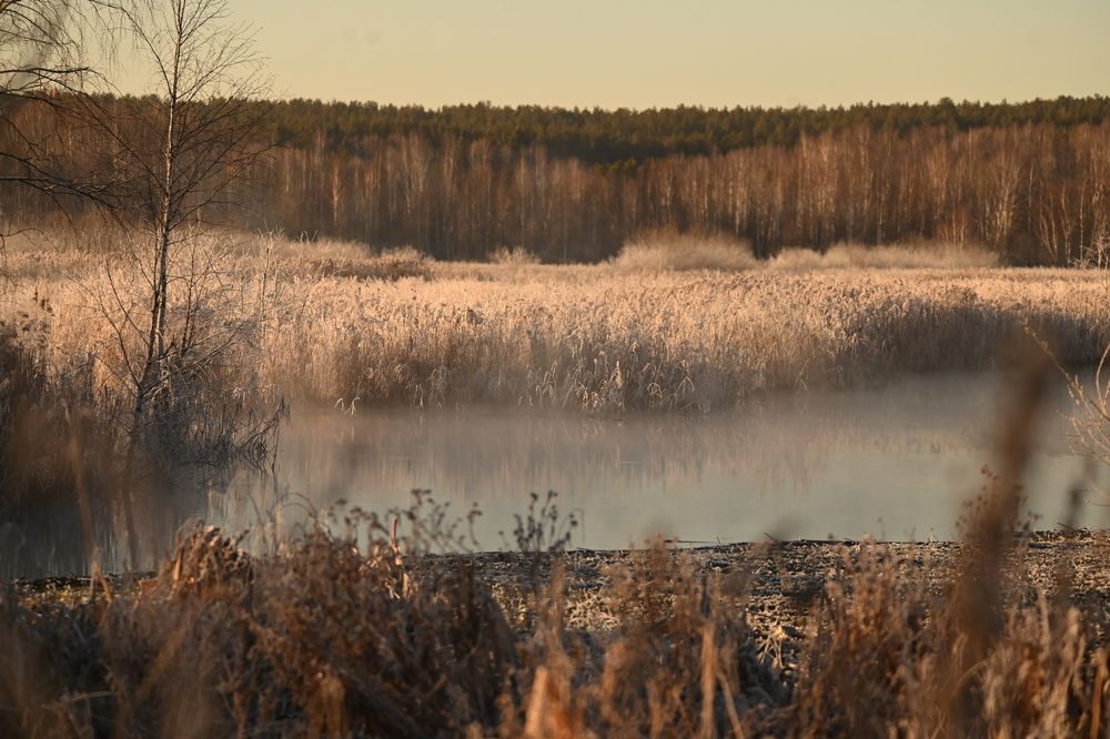 Photograph by Елизавета Цемко