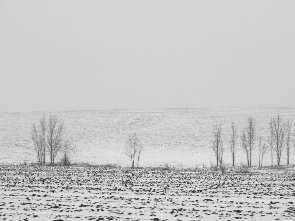 Photograph by Татьяна Поминова