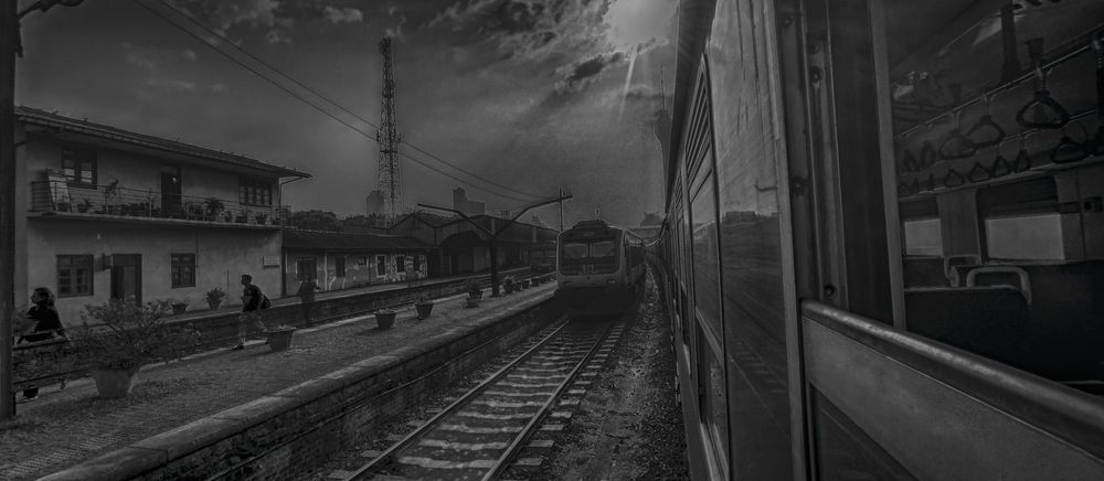 Фотография автора Chamara Sulakkhana Polwatta Siriyalage
