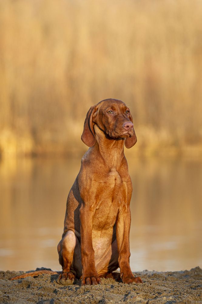 Photograph by Эльнара Исаева