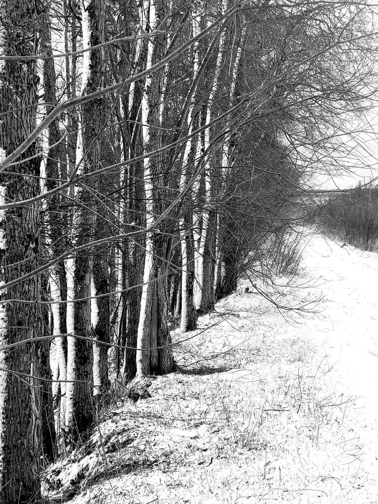 Фотография автора Казакова Людмила Ивановна