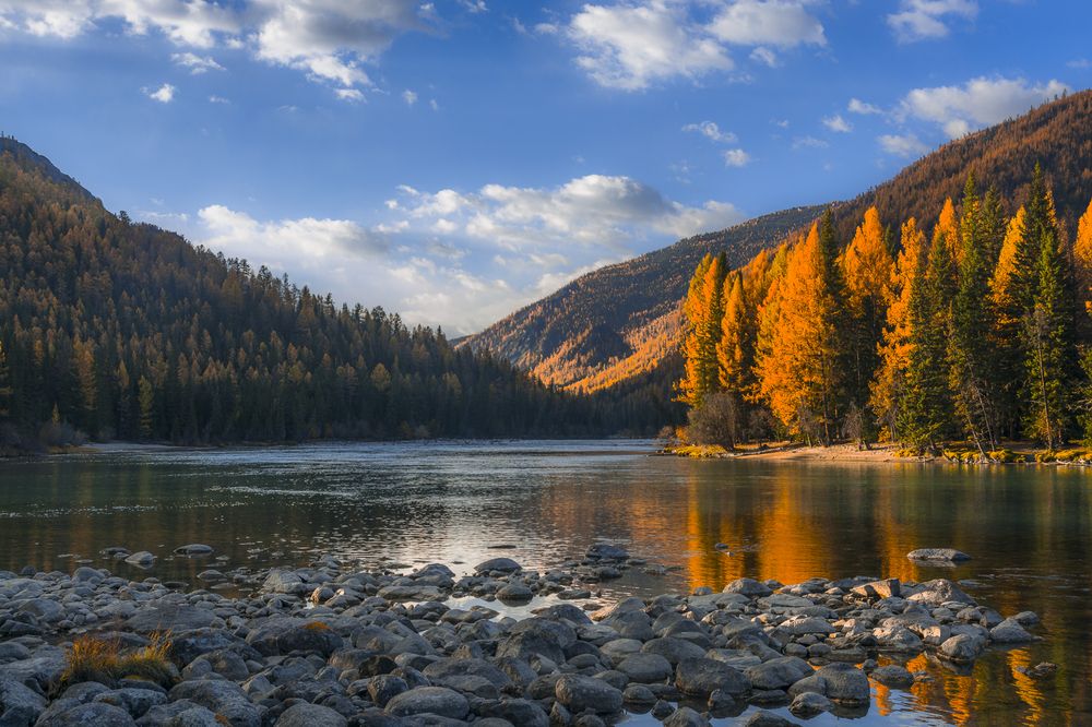 Пробуждение