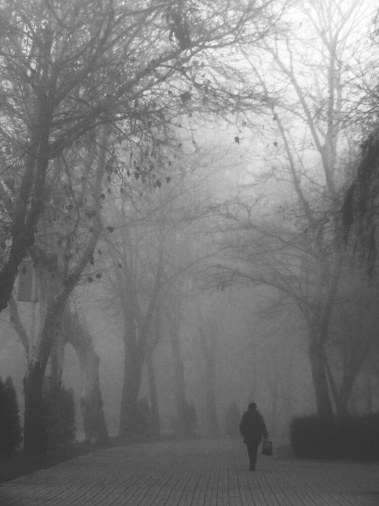 Photograph by Mila Nikolova