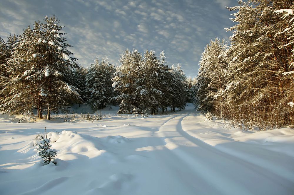 Photograph by Владимир Архипов