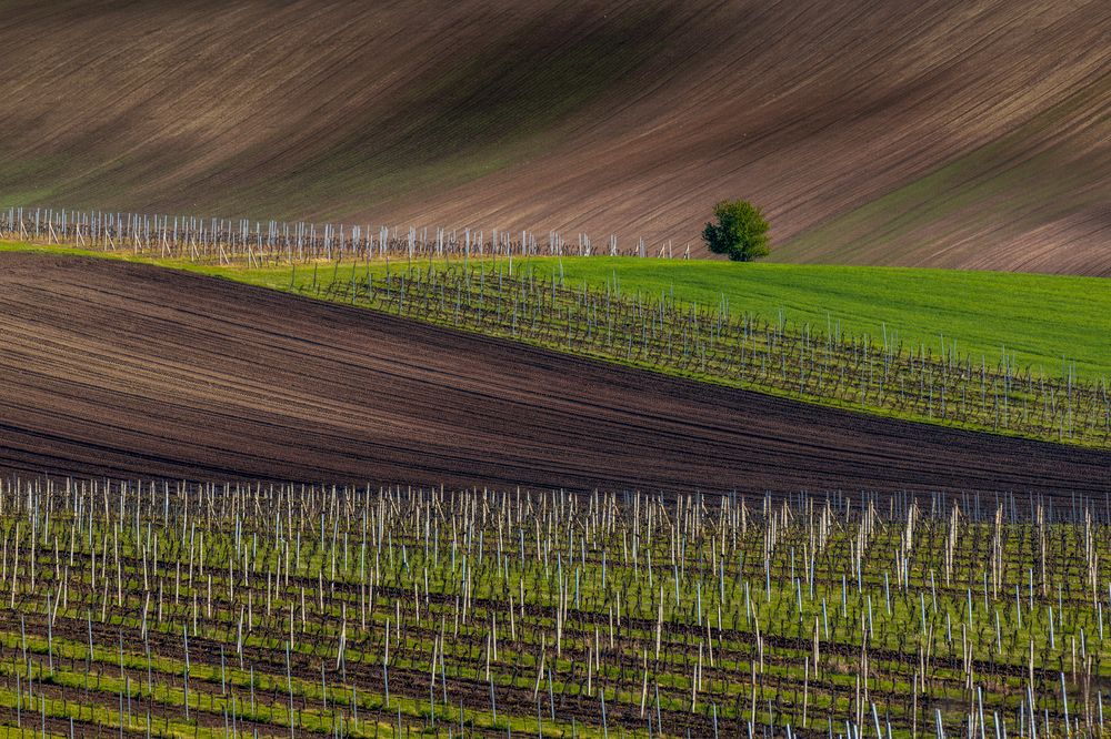 Photograph by Valentin Bițoi