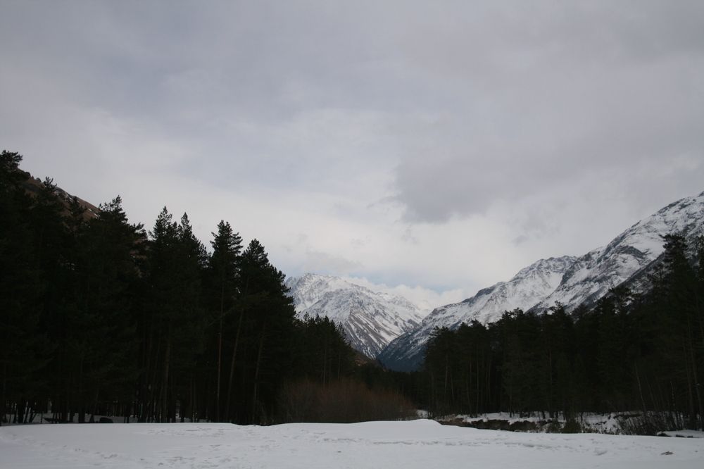 Photograph by Елизавета Можельская