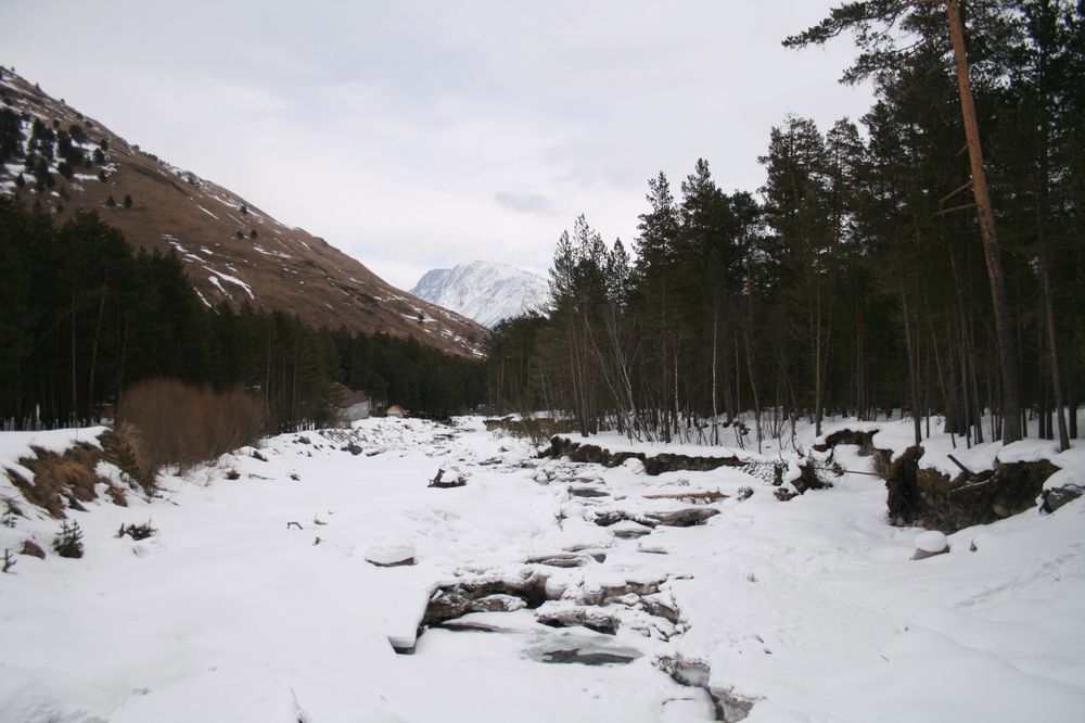 Photograph by Елизавета Можельская