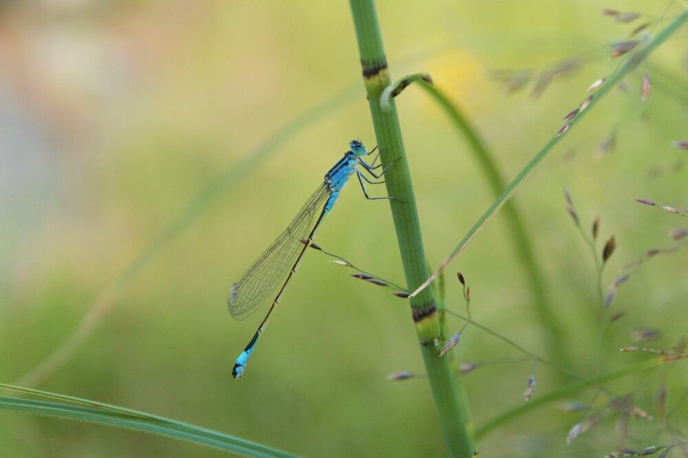 Photograph by Анна Азарёнок